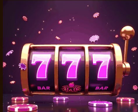 baaji365 in